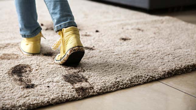 Image for article titled How to Keep Carpets From Polluting Your Indoor Air