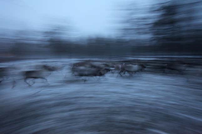Image for article titled Photos: The gorgeous simplicity of life as a Siberian nomad
