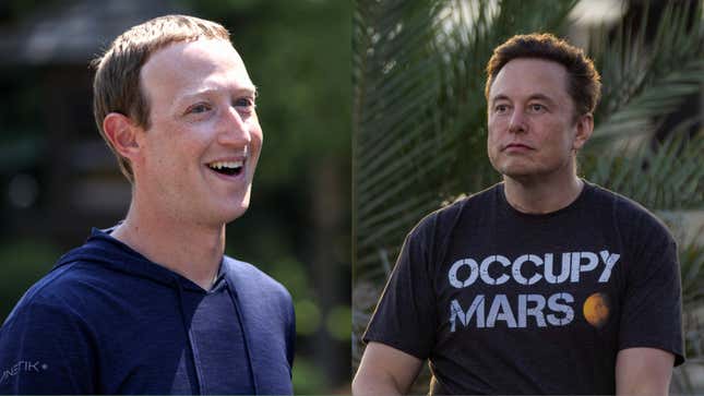 Image for article titled Elon Musk Enlists Help From UFC Champion Ahead of Potential Zuckerberg Brawl