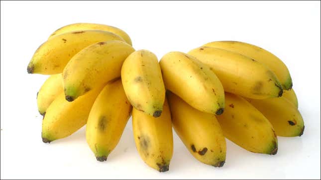 a bunch of bananas