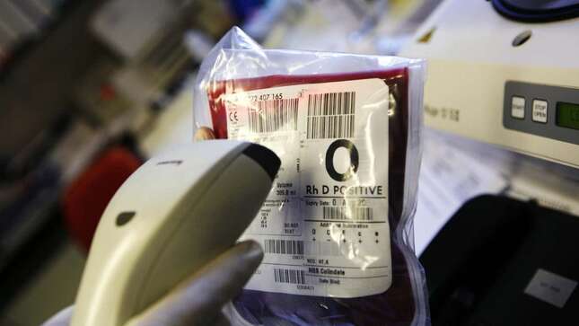 Imagen para el artículo titulado Los científicos han encontrado una manera de crear pulmones de donantes universales