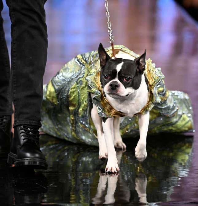 Image for article titled New York Fashion Week 2023: Animals, Insects, and So Many Fucking Flowers