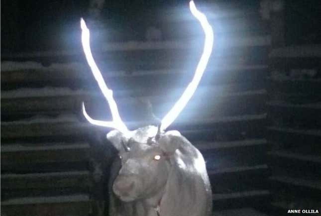 Imagen para el artículo titulado La curiosa historia tras esta imagen viral de un reno con los cuernos luminosos paseando por una calle de noche