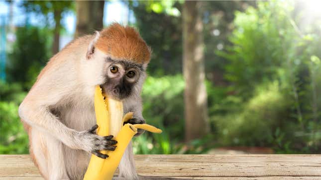 Image for article titled Have You Been Eating Bananas Wrong This Whole Time?