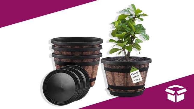 Image for article titled This Four-Pack of Whiskey Barrel Planters Are Down to Just $34