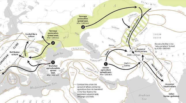 Image for article titled Who was here first? A new study explains the origins of ancient Indians