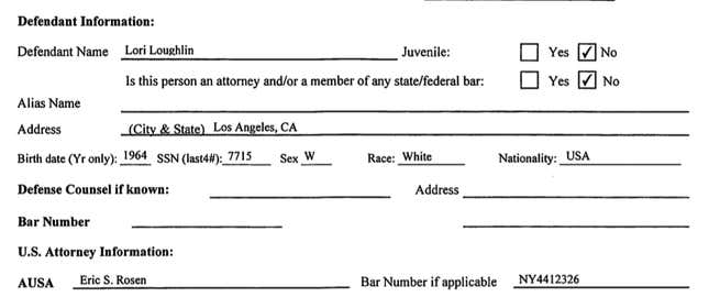 Loughlin criminal case cover sheet.