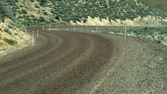Image for article titled Mormon Crickets Have Invaded Roads In Nevada And Idaho