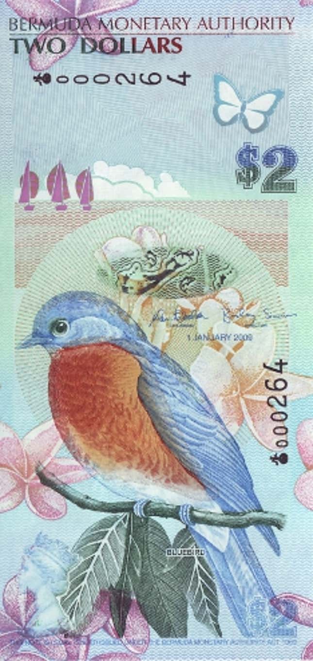 Image for article titled Here are the nine most beautiful banknotes in the world