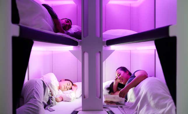 Air New Zealand economy bunk beds photo