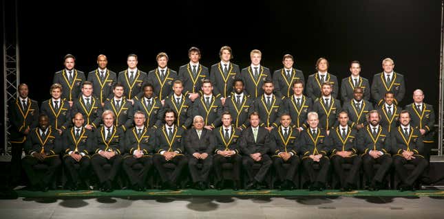 The Springboks, 2015