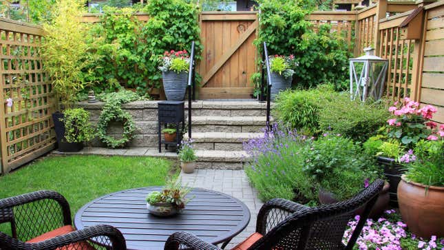 Image for article titled You Can Make a Tiny Yard Look a Lot Bigger