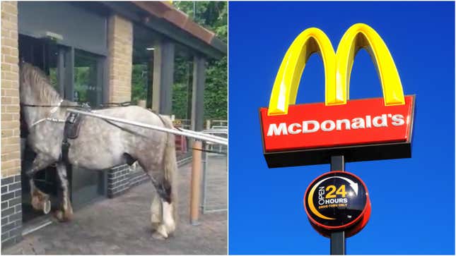 Image for article titled English horse and its terrible owner denied entry to McDonald’s