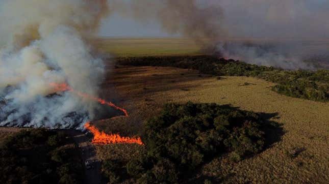 In this aerial view firefighters burn a field to fight wildfires (R) of the native forest at Paraje Uguay, Corrientes, Argentina on February 22, 2022