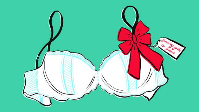Image for article titled This Holiday Season, Donate Your Goddamn Bra