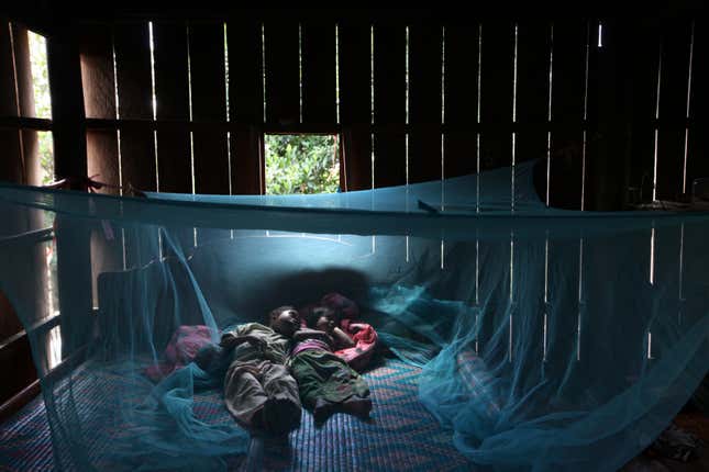 Children under a mosquito net.