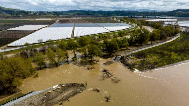 Photo of breached levee