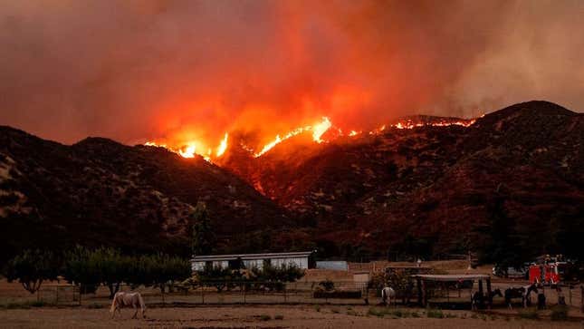 The blaze from the Apple fire reached a residential area of Banning, California on August 1.