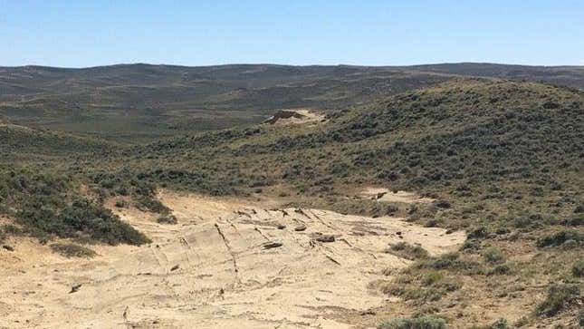 The landscape of the site.