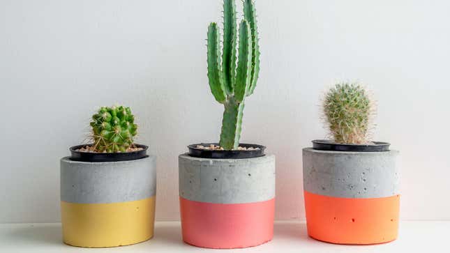 Three small cement flower pots painted in bright colors