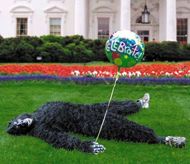 Image for article titled Gorillagram Employee Shot By White House Security