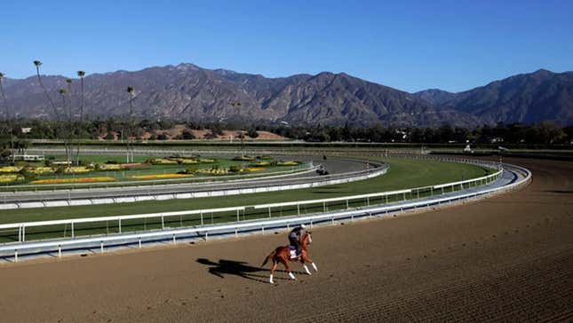 Image for article titled Another Dead Horse At Santa Anita
