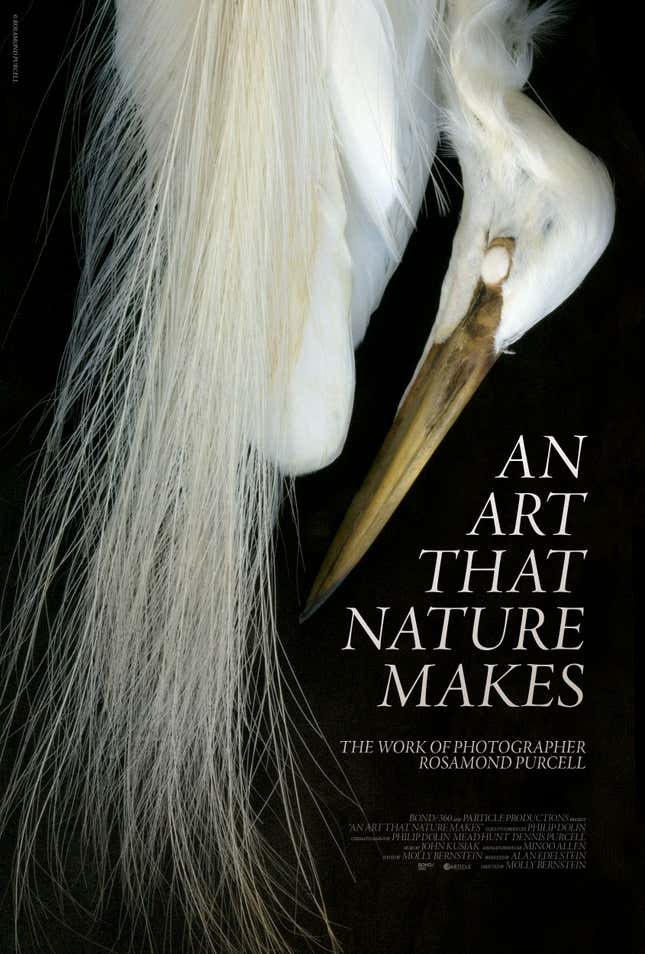 Image for article titled A photographer’s brilliant crusade to challenge the boundaries between science and art