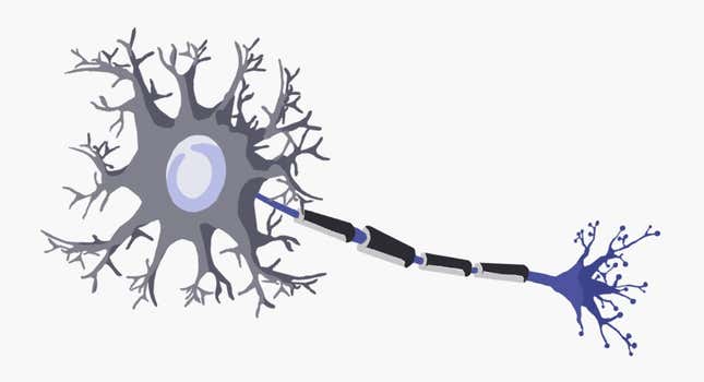 Image for article titled A tumor stole every memory I had. This is what happened when it all came back