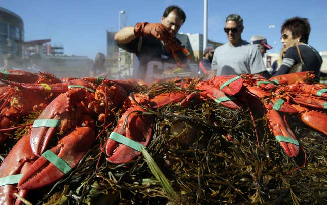 Allan Stone, of Scarborough, Maine, cooks about 100 lobsters as he and his friends spend time tailgating in the parking lot of Gillette Stadium before an NFL football game between the New England Patriots and Jacksonville Jaguars, Sunday, Sept. 27, 2015, in Foxborough, Mass. (AP Photo/Charles Krupa