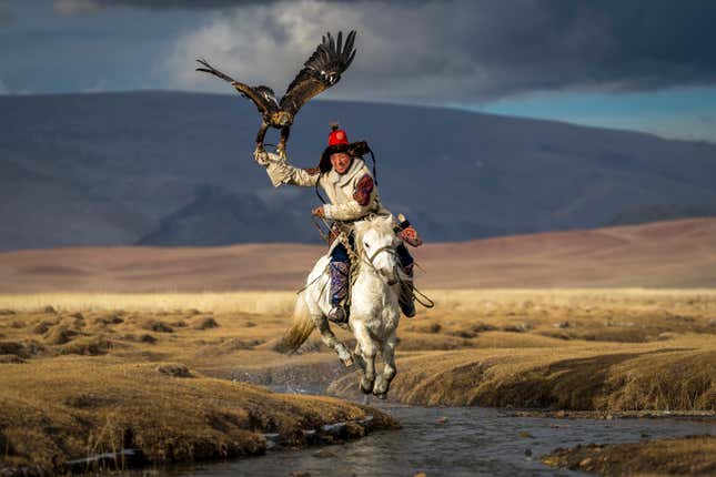 Photo of hunter on horseback releasing eagle