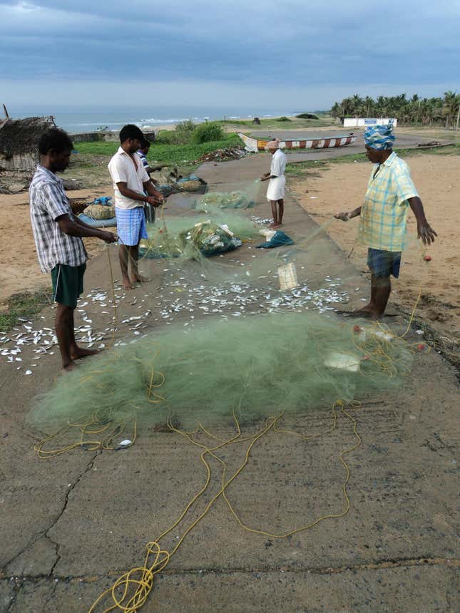 Fishermen sort the day’s catch in Panayaur Kuppam, near Chennai.