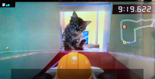 Image for article titled Cats Vs. Mario Kart Live: Home Circuit