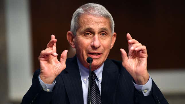 Image for article titled We Ask Dr. Fauci About What He's Planning For The Next Pandemic
