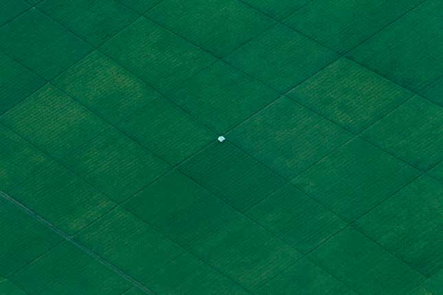 Image for article titled Aerial photos reveal the hypnotic geometry of farming