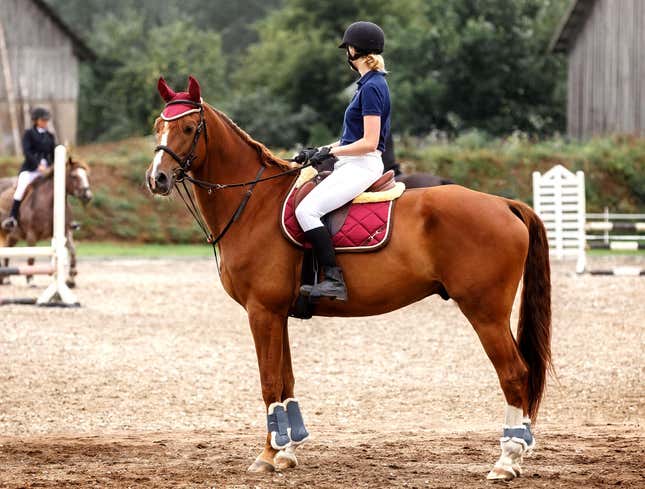 Image for article titled Dressage Practice Super Awkward Ever Since Horse And Rider Stopped Hooking Up