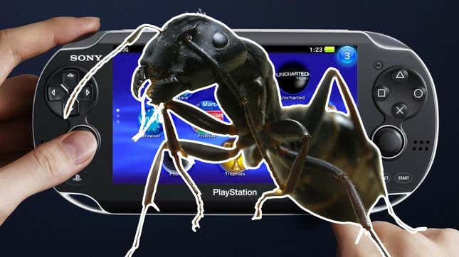 A giant ant sits in front of a picture of a Vita. 