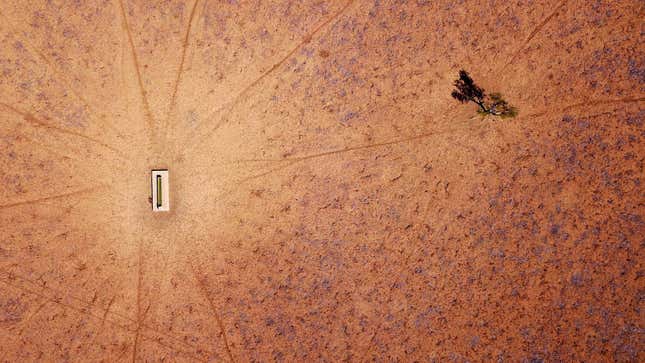 The Wider Image: Australia's drought - the cancer eating away at farms