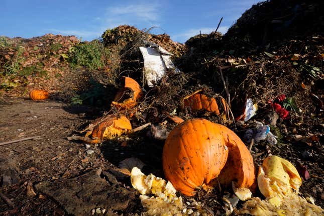 Pumpkins and other compostable waste at the Anaerobic Composter Facility in Woodland, California.