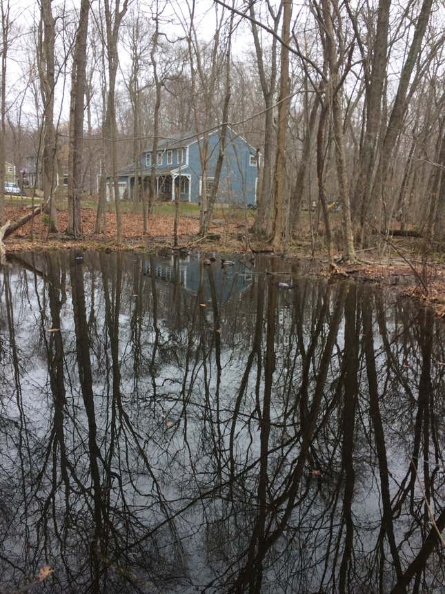 Another suburban pond in Madison, Connecticut.