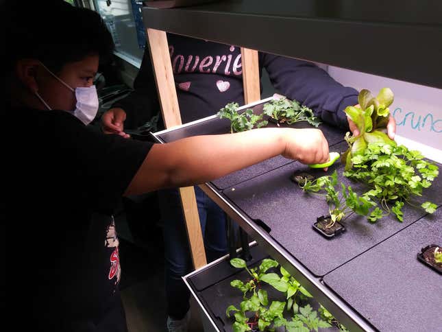 Kids using a Rise Gardens unit in a classroom