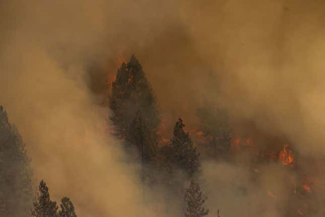 A momentary parting of smoke reveals a burning forest at the Oak Fire near Mariposa, California, on July 24, 2022.
