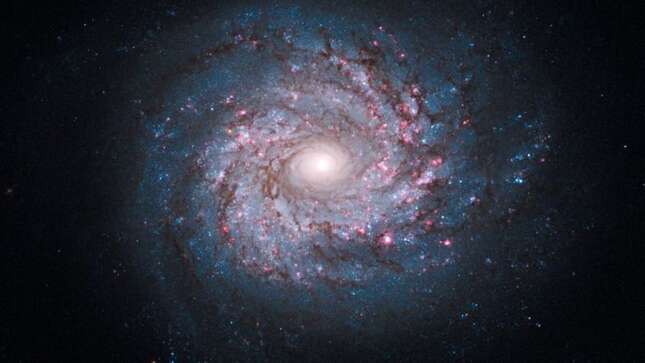 Cómo acceder a toda la biblioteca de vídeos e imágenes de la NASA gratis