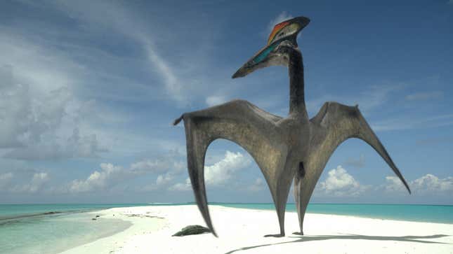 A antheral Hatzegopteryx presenting pinch a precocious caught repast (on sandbar.)
