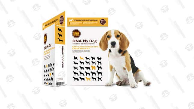 DNA My Dog Breed Identification Test | $50 | StackSocial