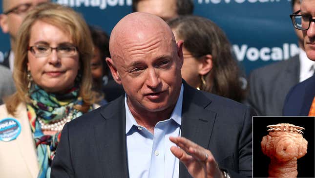 Image for article titled Parasitic Space Worm Controlling Mark Kelly’s Body Announces Arizona Senate Bid