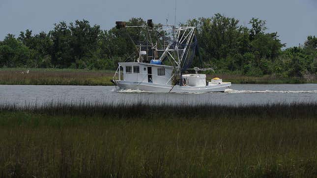 A shrimp boat returning to port in Louisiana, 2010