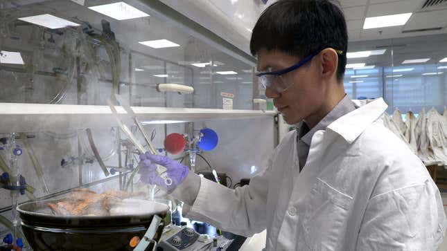 Image for article titled Singapore Approves First Lab-Grilled Chicken