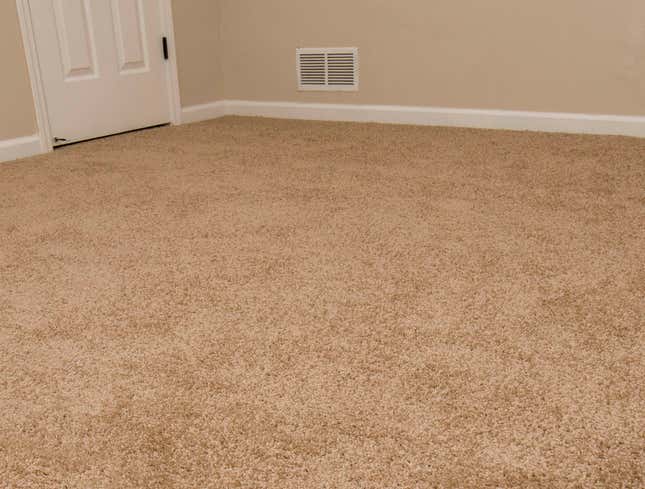 Image for article titled Thumbtack On Carpet Still At Large