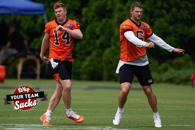 Cincinnati Bengals Large Team Trash Bin