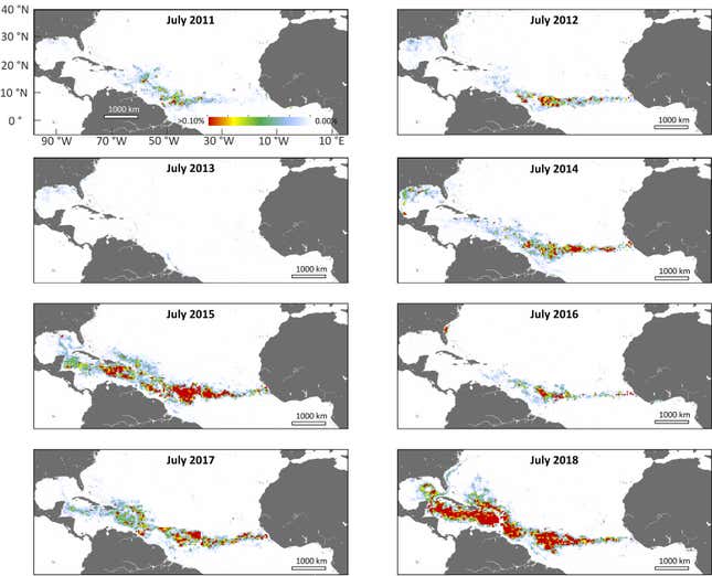 Historical data of the seaweed bloom from 2011 to 2018.